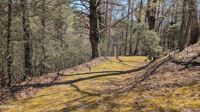 view of nature featuring a forest view