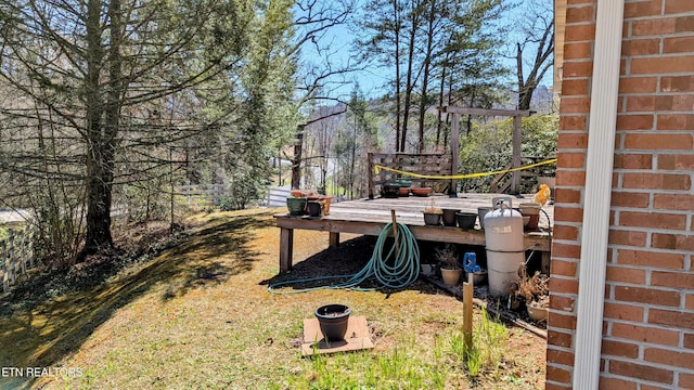 view of yard featuring a wooden deck