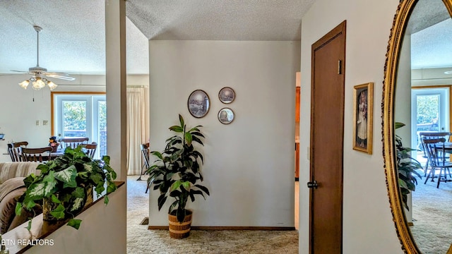 hall featuring carpet and a textured ceiling
