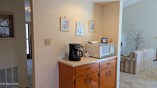 details with white microwave, carpet, and visible vents