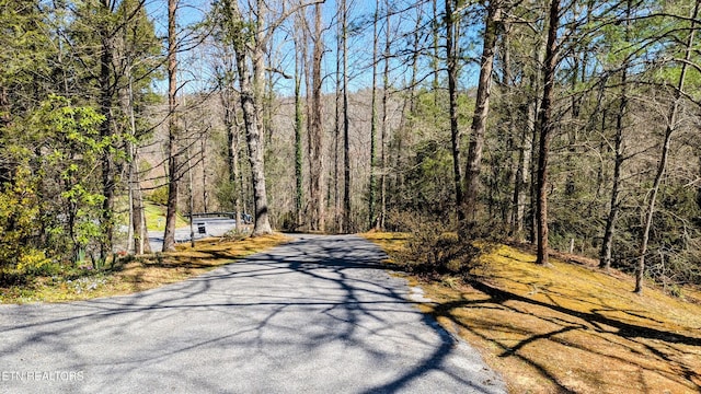 view of street featuring a wooded view