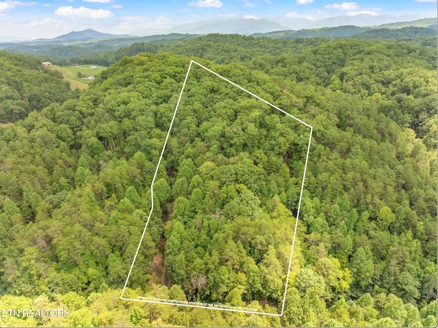 Gnatty Branch Rd, Sevierville TN, 37876 land for sale