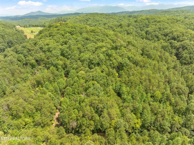 Listing photo 2 for Gnatty Branch Rd, Sevierville TN 37876