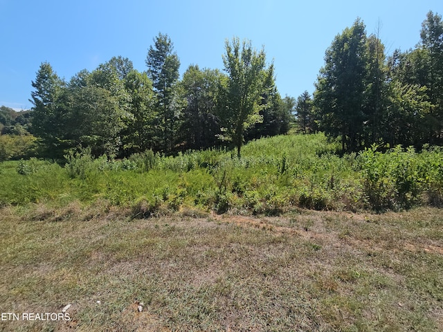 Meadow Ln, Harriman TN, 37748 land for sale