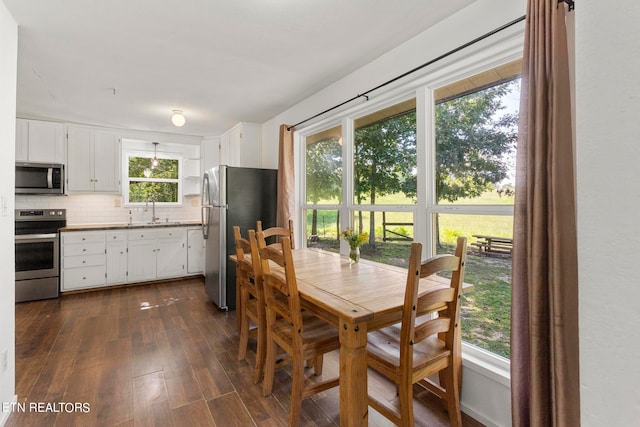 dining space featuring sink, dark wood-type flooring, and a healthy amount of sunlight