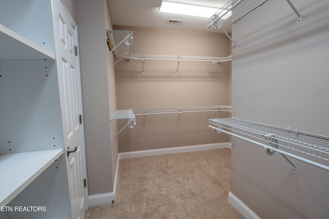 walk in closet with light carpet