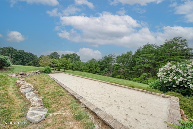 view of home's community featuring a yard