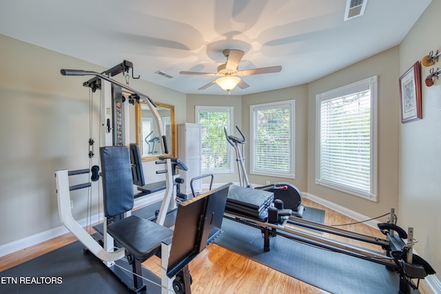 workout area featuring ceiling fan, plenty of natural light, and hardwood / wood-style floors