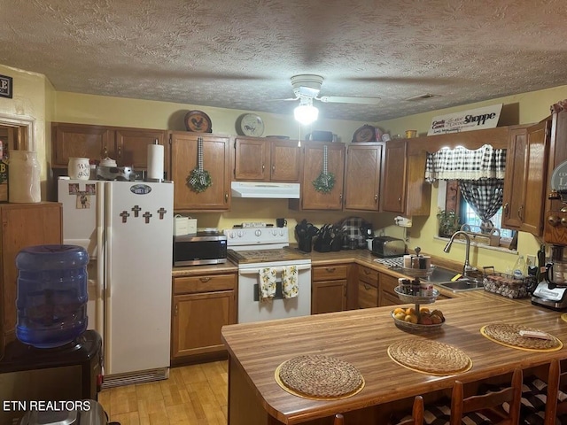 kitchen featuring ceiling fan, light hardwood / wood-style flooring, sink, a textured ceiling, and white appliances