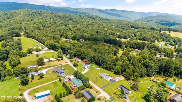 aerial view with a mountain view