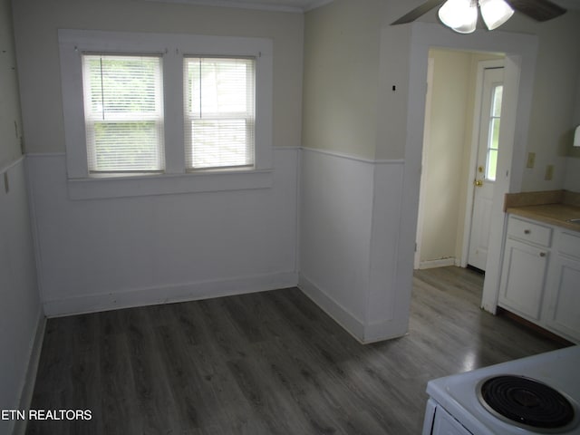 kitchen featuring hardwood / wood-style flooring, white cabinetry, and ceiling fan