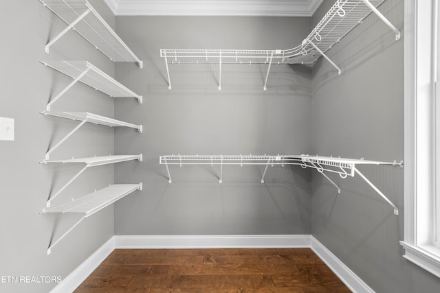 spacious closet featuring dark hardwood / wood-style floors