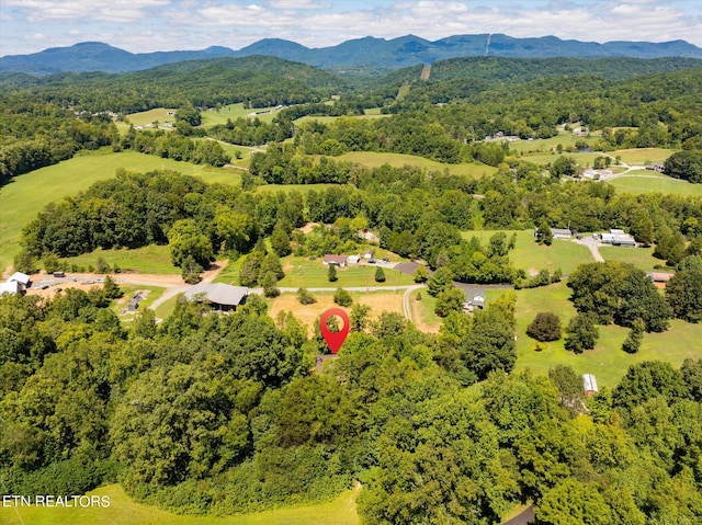 aerial view with a mountain view