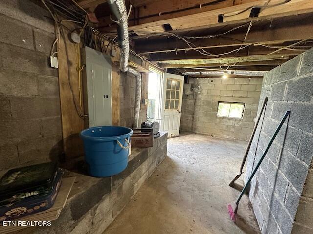 basement with electric panel and plenty of natural light