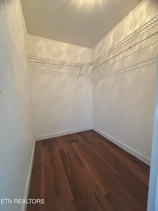 spacious closet featuring dark hardwood / wood-style floors