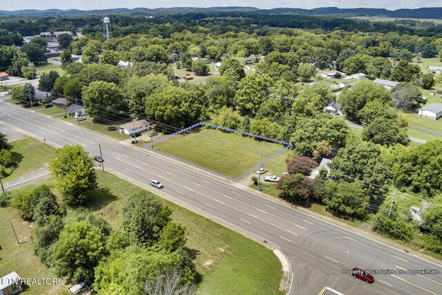 S Amhurst Pl, Englewood, TN 37329 - photo 7
