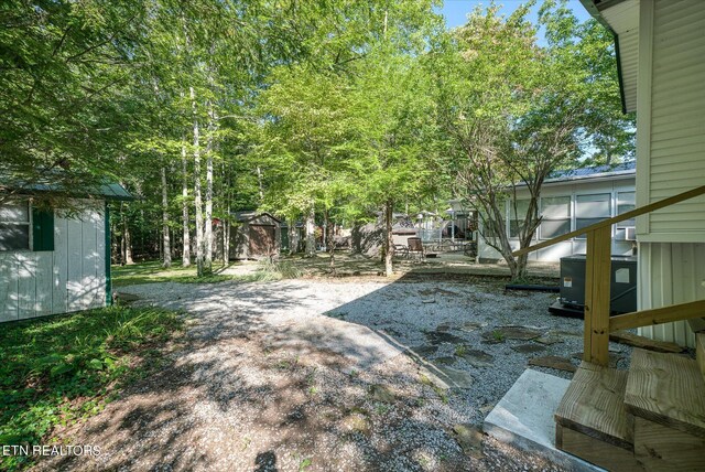 view of yard with a patio and a storage shed