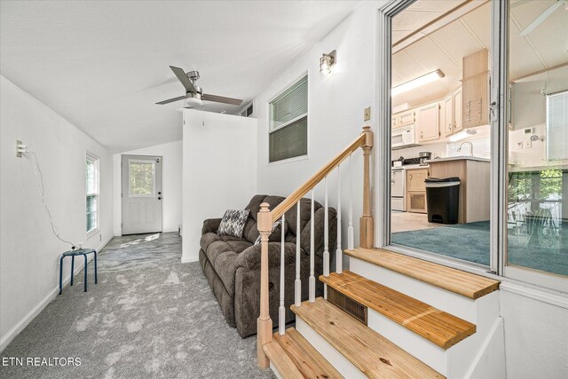 stairs featuring lofted ceiling, ceiling fan, and carpet flooring