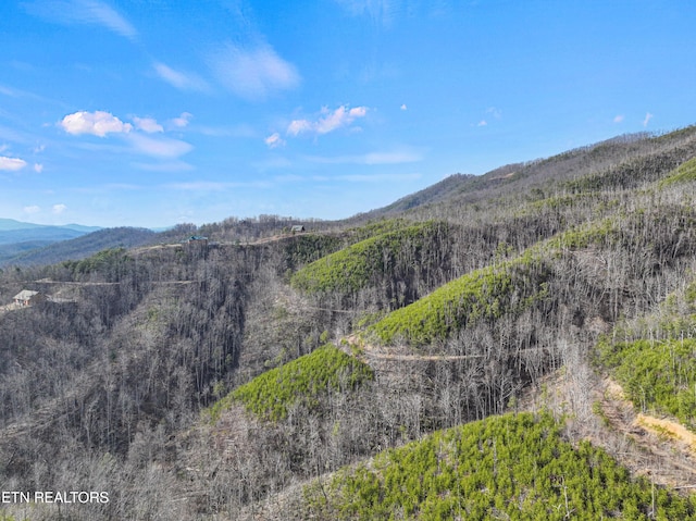 view of mountain feature