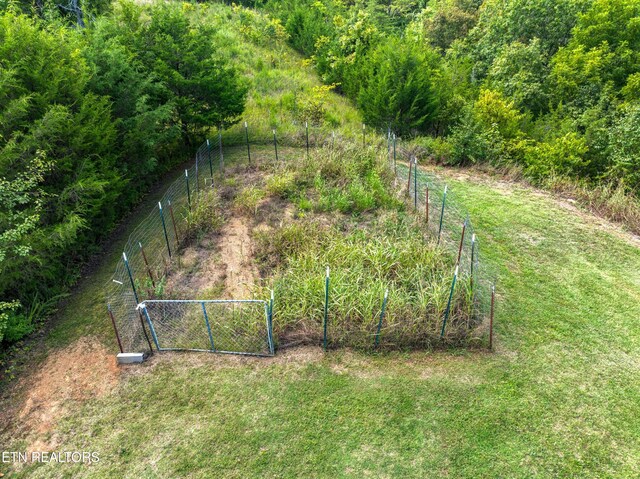 view of yard with a rural view