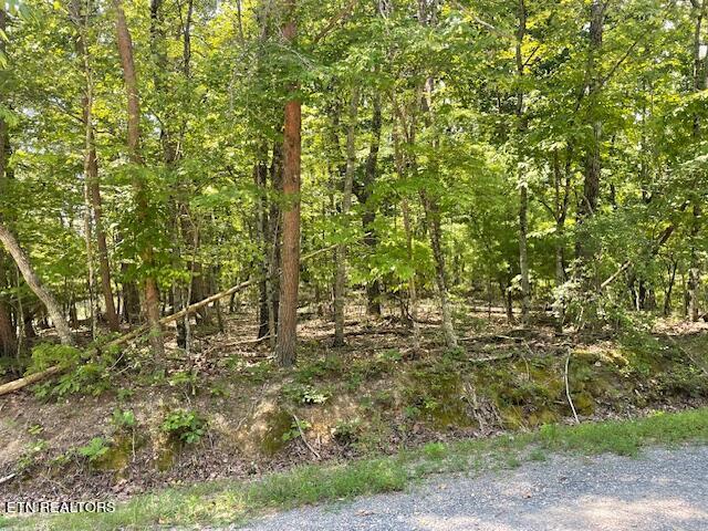 Listing photo 2 for LOT255 Maple Dr, Spring City TN 37381