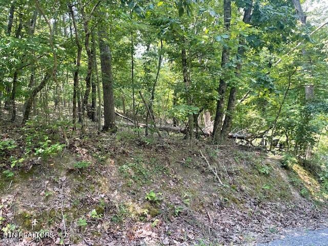 Listing photo 3 for LOT255 Maple Dr, Spring City TN 37381