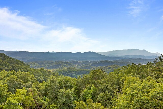 view of mountain feature with a view of trees