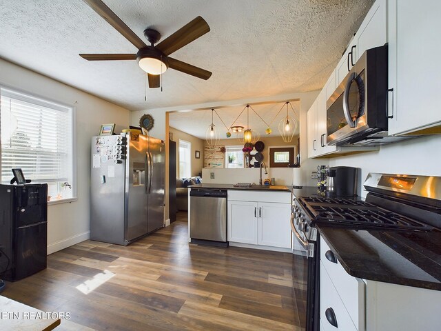 kitchen featuring dark hardwood / wood-style floors, a healthy amount of sunlight, and stainless steel appliances