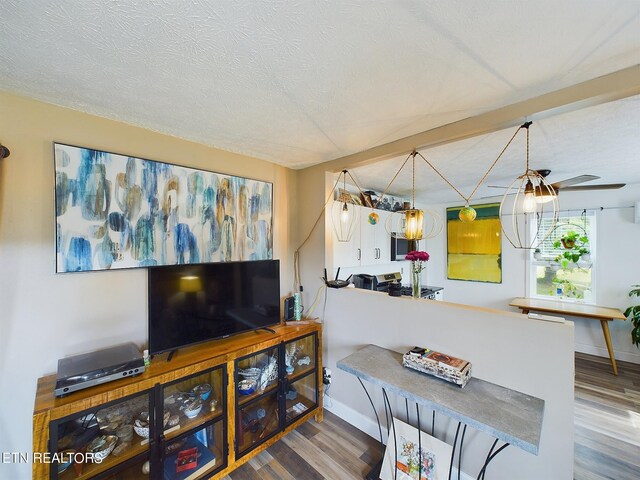 living room with a textured ceiling and hardwood / wood-style floors