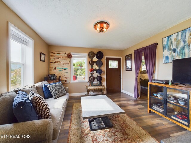 living room with a textured ceiling and dark hardwood / wood-style floors