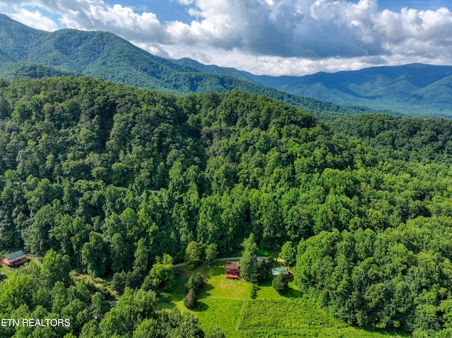 Emilyville Way, Cosby, TN 37722 - photo 4