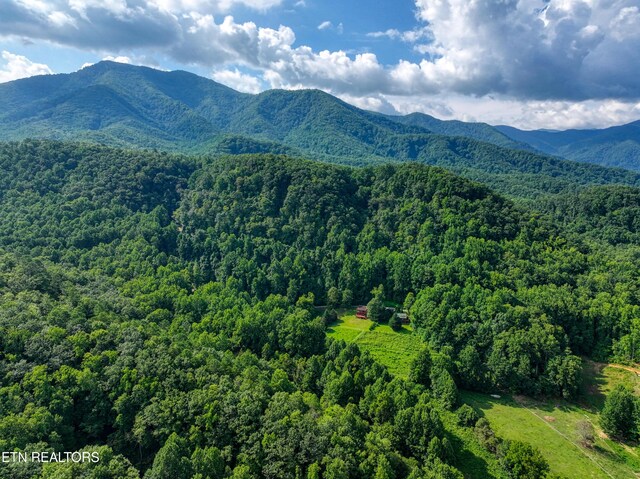 Emilyville Way, Cosby, TN 37722 - photo 5