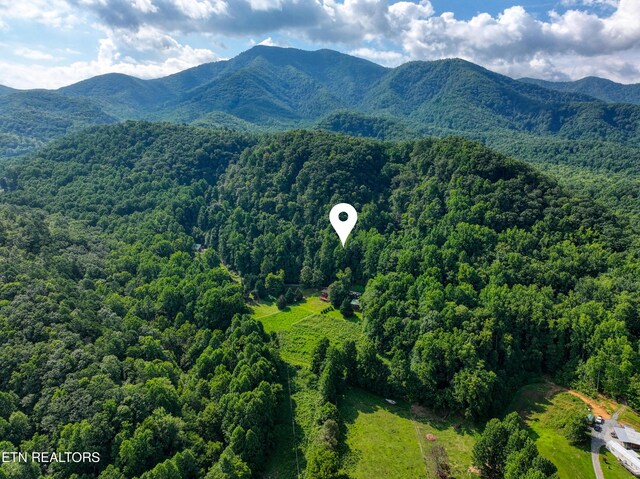 Emilyville Way, Cosby, TN 37722 - photo 6