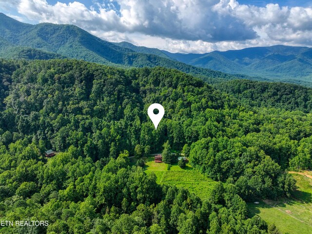 Emilyville Way, Cosby, TN 37722 - photo 7