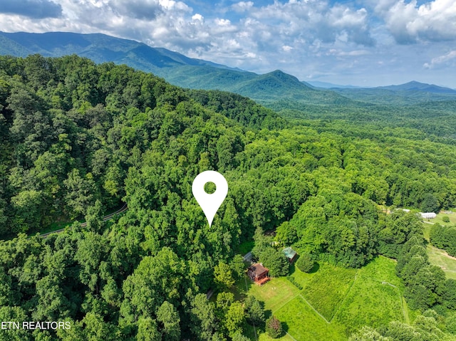 Emilyville Way, Cosby, TN 37722 - photo 8