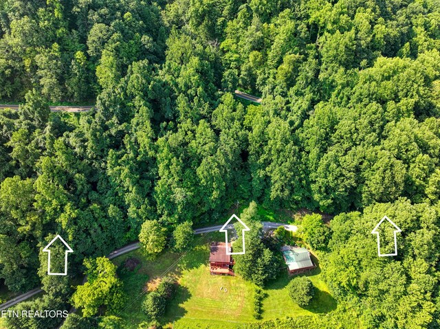 Emilyville Way, Cosby, TN 37722 - photo 10