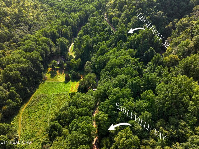 Emilyville Way, Cosby, TN 37722 - photo 12