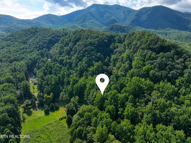 Emilyville Way, Cosby, TN 37722 - photo 13