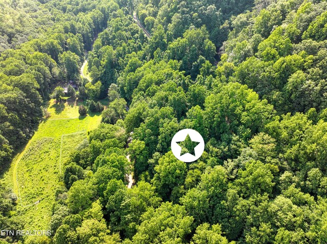 Emilyville Way, Cosby, TN 37722 - photo 15