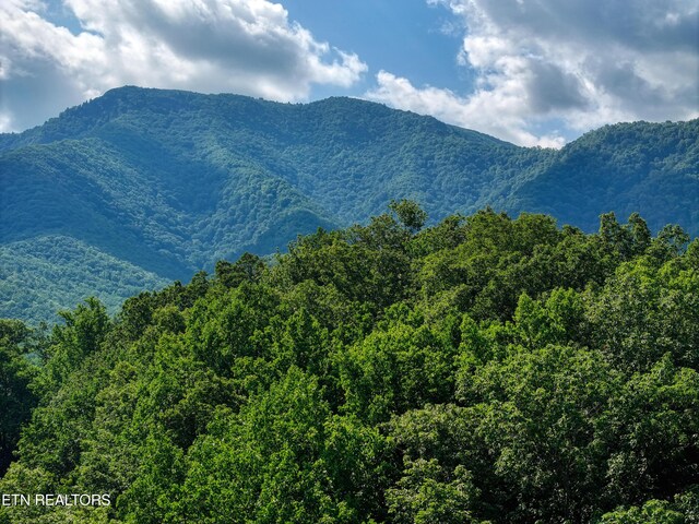 Emilyville Way, Cosby, TN 37722 - photo 16