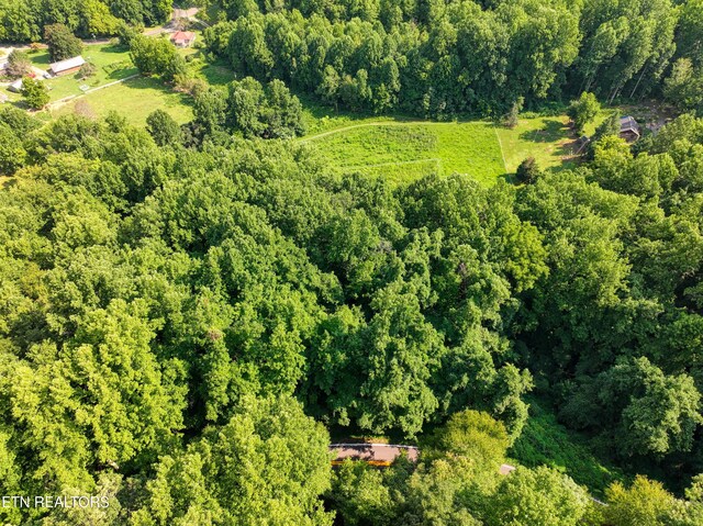 Emilyville Way, Cosby, TN 37722 - photo 17