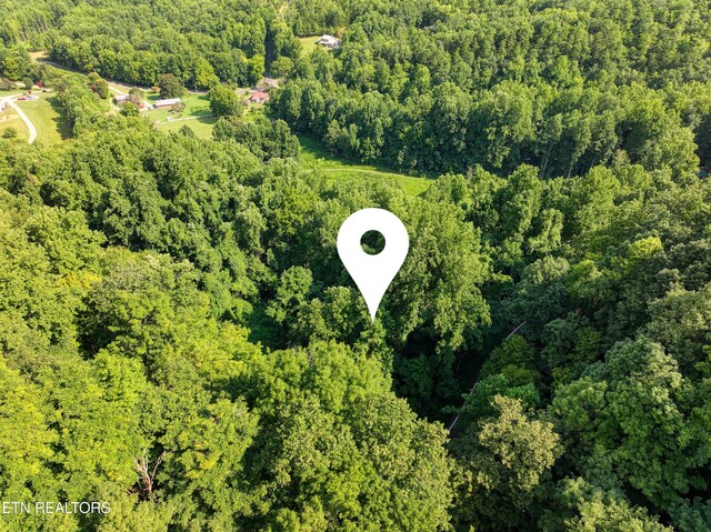 Emilyville Way, Cosby, TN 37722 - photo 18