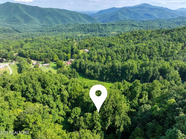 Emilyville Way, Cosby, TN 37722 - photo 19