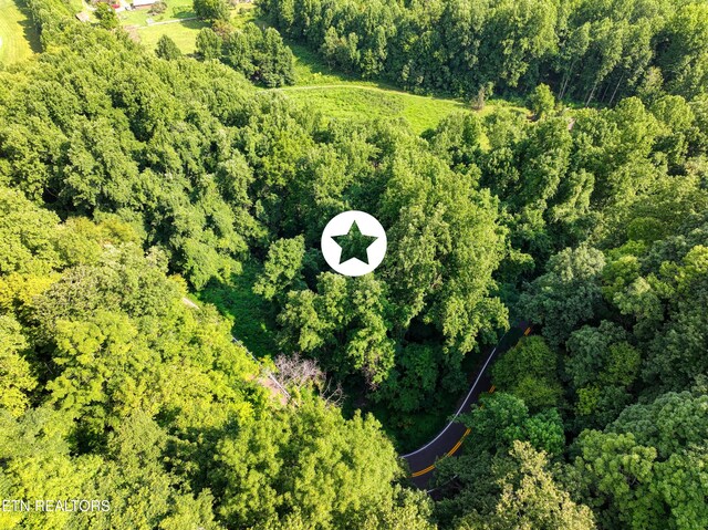 Emilyville Way, Cosby, TN 37722 - photo 20