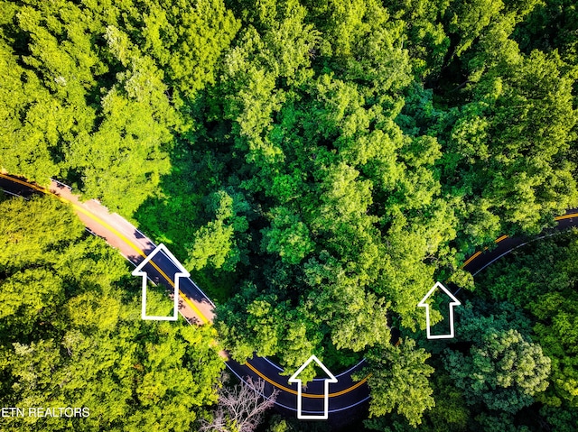 Emilyville Way, Cosby TN, 37722 land for sale