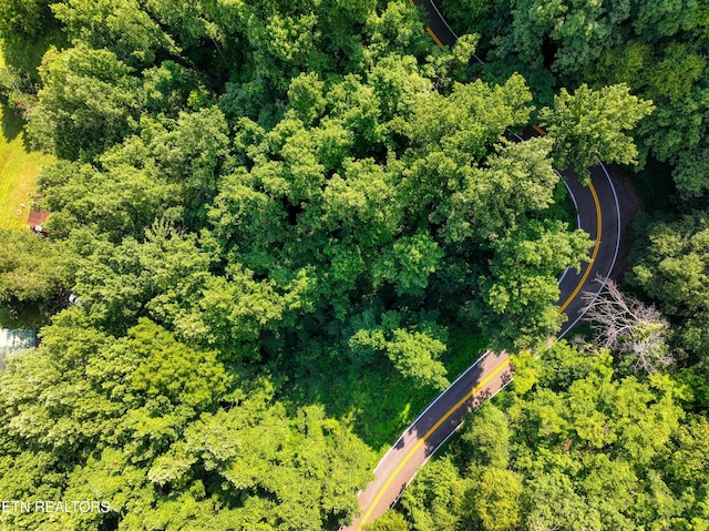 Emilyville Way, Cosby, TN 37722 - photo 2