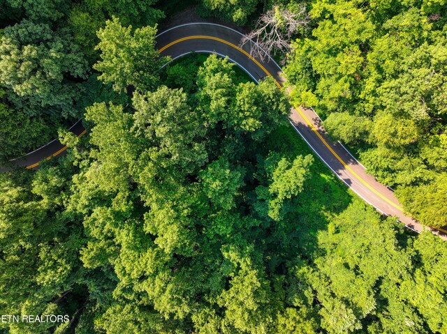 Emilyville Way, Cosby, TN 37722 - photo 3