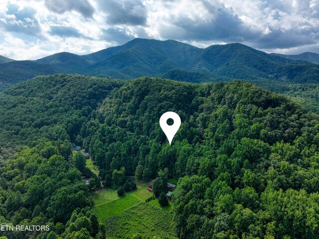 Emilyville Way, Cosby, TN 37722 - photo 24