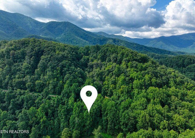 Emilyville Way, Cosby, TN 37722 - photo 25