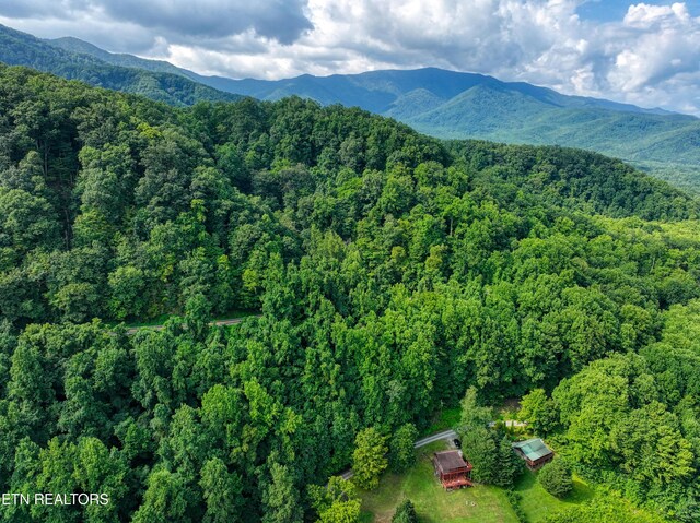 Emilyville Way, Cosby, TN 37722 - photo 26